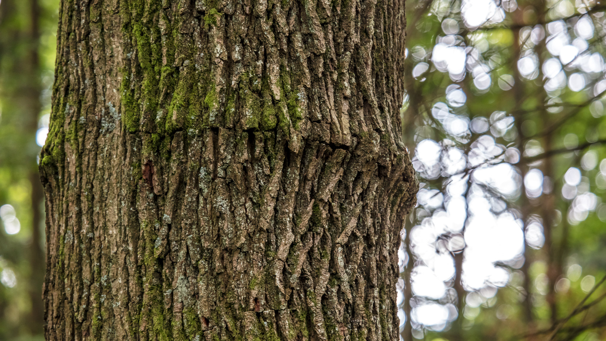 20210725101305 017896